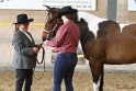 22-APHA HOTC_110
